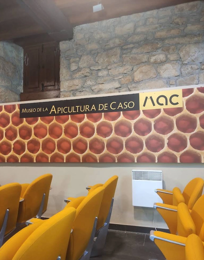 Auditorio y sala de audiovisuales del Museo de la Apicultura de Caso, Asturias