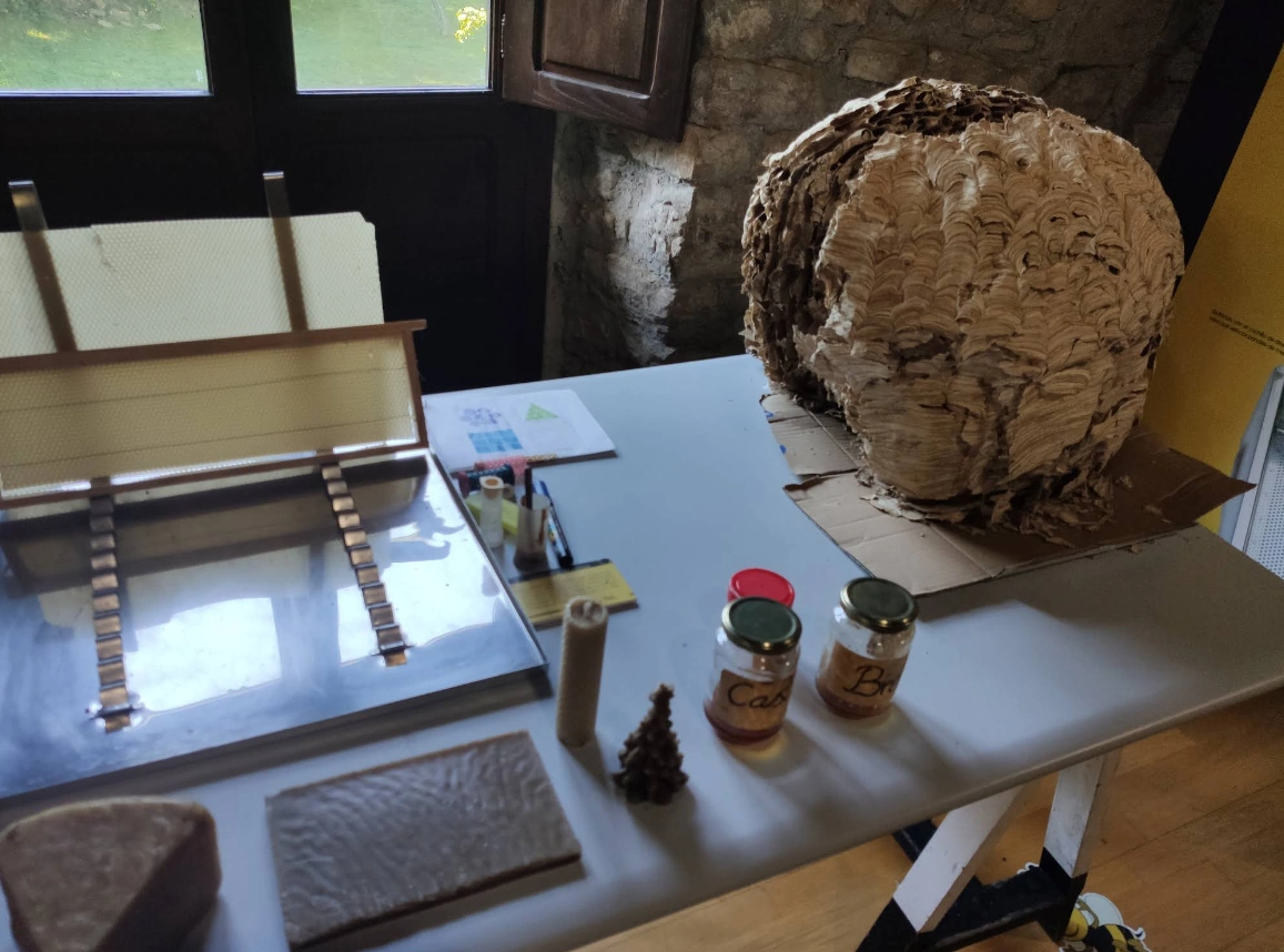 Exhibición de panal natural, tarros de miel y láminas de cera en la exposición de Caso, Asturias