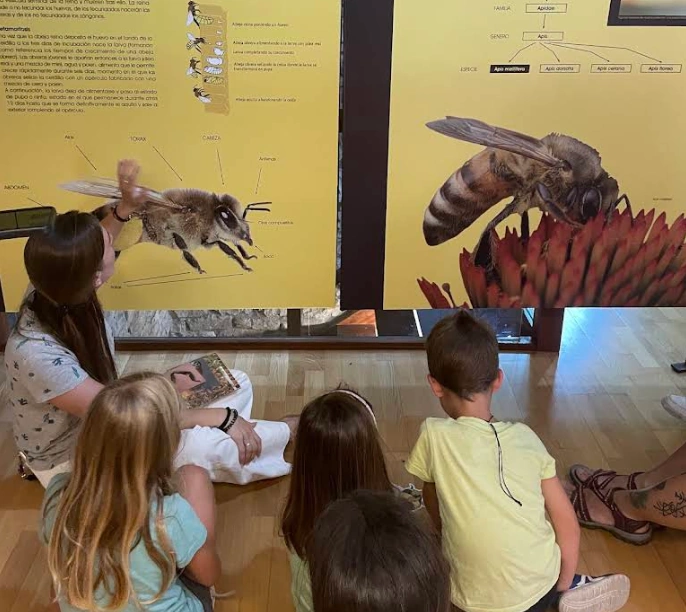 Visita guiada y talleres educativos para niños en la exposición del Museo de la Apicultura en Caso, Asturias